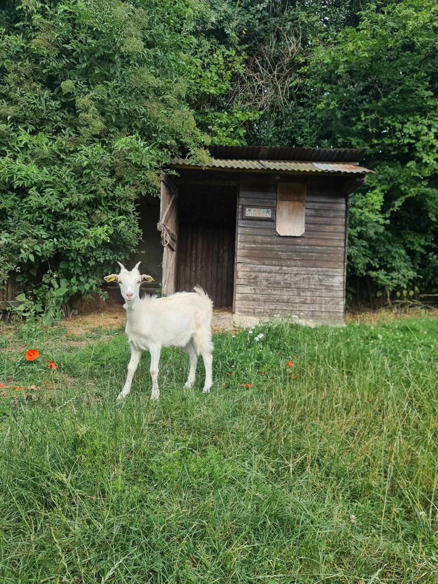 Chambre A La Ferme, Les Vergers Du Muscardin Breel Екстериор снимка